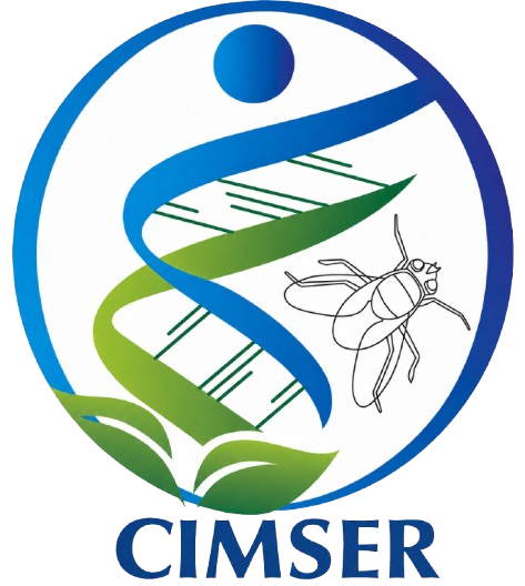 CIMSER